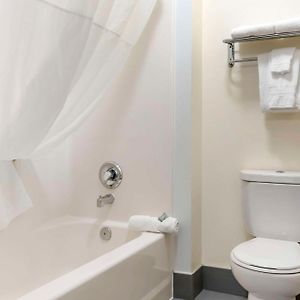Queen Suite
